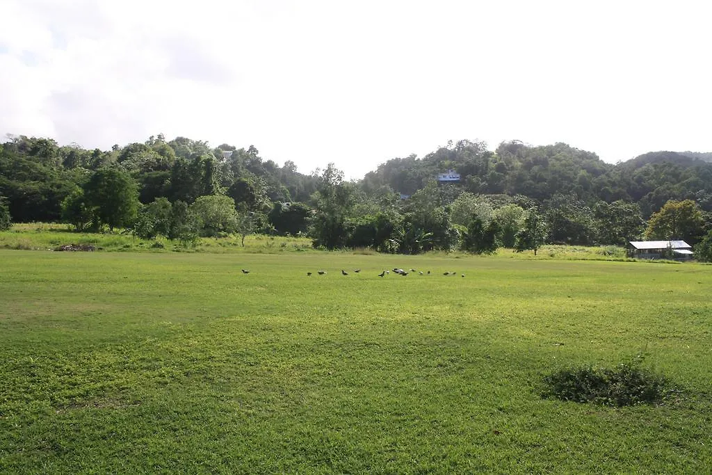 The Crest Conference And Retreat Facility Villa Port Antonio